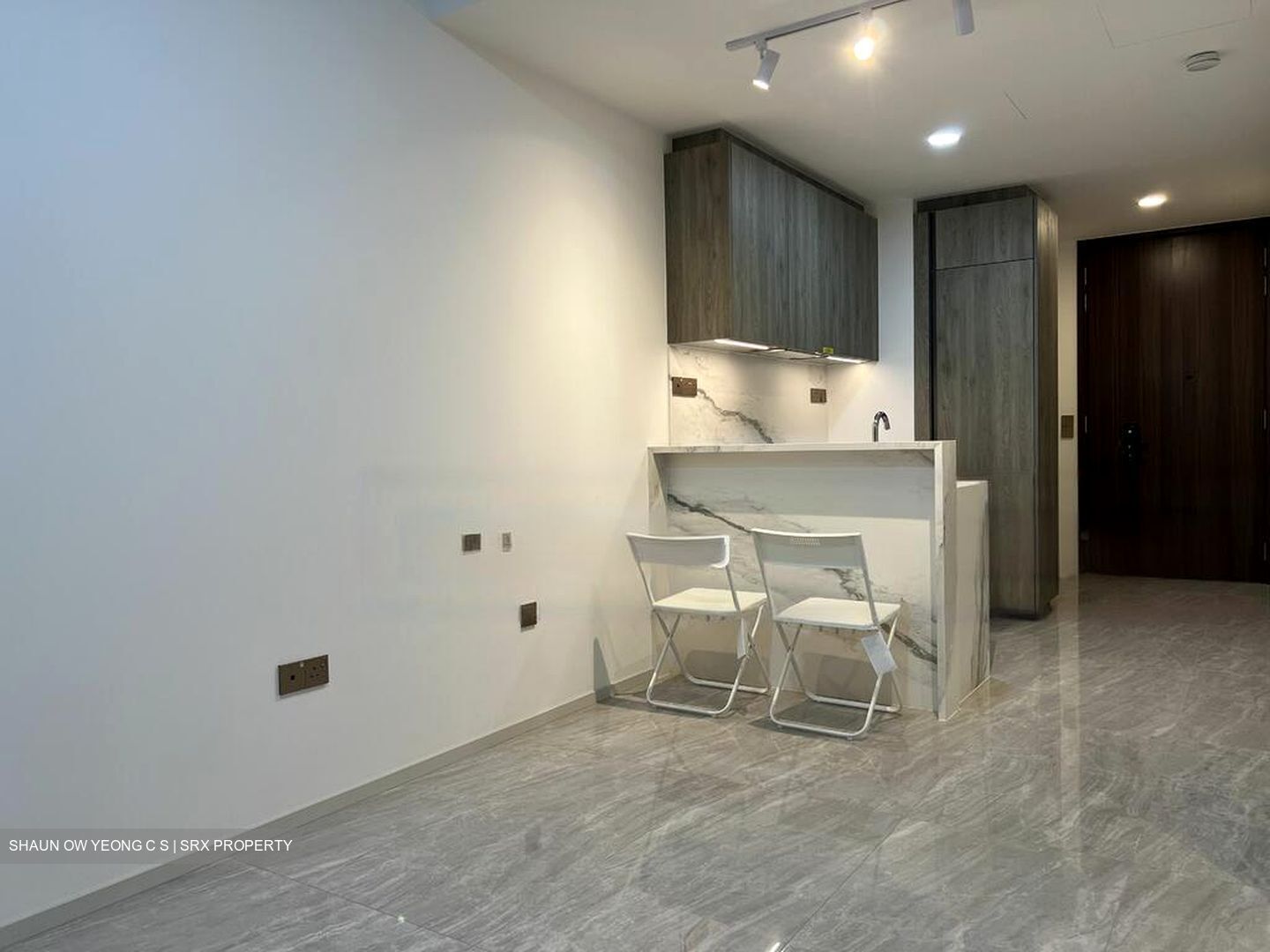 Leedon Green (D10), Condominium #432368931